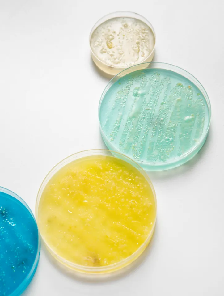 Kozmetik Kimyasalları